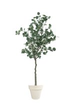 Faux Eucalyptus Tree 160cm In OFF WHITE Planter