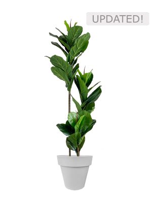 faux ficus lyrata tree 150cm in grey planter