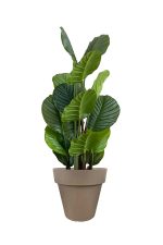 Faux Calathea Tree 110cm In BROWN Planter