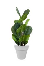 Faux Calathea Tree 110cm In GREY Planter