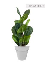 Faux Calathea Tree 110cm In GREY Planter