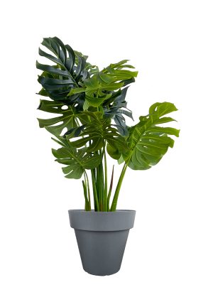 faux monstera tree 120cm in black planter