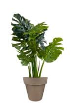 Faux Monstera Tree 120cm In Brown Planter