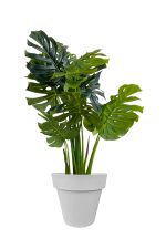 Faux Monstera Tree 120cm In Grey Planter