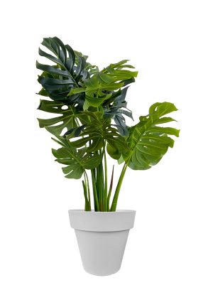 faux monstera tree 120cm in grey planter