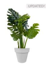 Faux Monstera Tree 120cm In Grey Planter