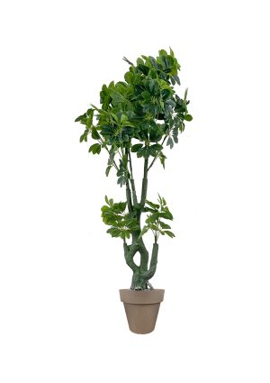 faux schefflera tree 170cm in brown planter