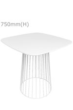 Birdcage Table & Squarish Top - White