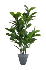 FAUX GREEN FIG 140CM IN BLACK PLANTER (FL86 - FIGB)