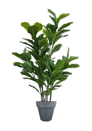 faux green fig 140cm in black planter fl86 figb