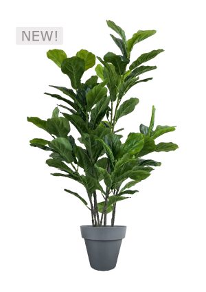 faux green fig 140cm in black planter fl86 figb