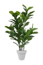 FAUX GREEN FIG 140CM IN GREY PLANTER (FL86 - FIGC)