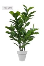 FAUX GREEN FIG 140CM IN GREY PLANTER (FL86 - FIGC)