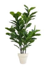 FAUX GREEN FIG 140CM IN OFF WHITE PLANTER (FL86 - FIGOW)