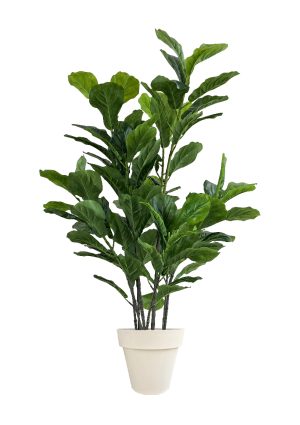 faux green fig 140cm in off white planter fl86 figow