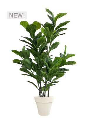 faux green fig 140cm in off white planter fl86 figow