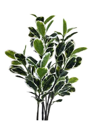 faux variegated white fig 140cm fl85 fig