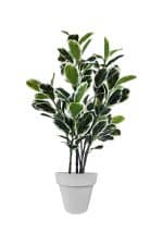 FAUX VARIEGATED WHITE FIG 140CM IN GREY PLANTER (FL85 - FIGC)