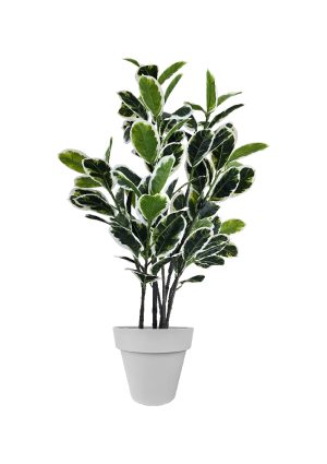 faux variegated white fig 140cm in grey planter fl85 figc