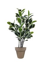 FAUX VARIEGATED WHITE FIG 140CM IN OFF BROWN PLANTER (FL85 - FIGBR