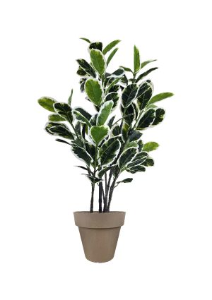 faux variegated white fig 140cm in off brown planter fl85 figbr