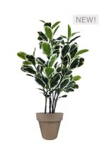 FAUX VARIEGATED WHITE FIG 140CM IN OFF BROWN PLANTER (FL85 - FIGBR