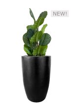 FAUX CALATHEA TREE 110CM IN FIBRE LARGE BLACK PLANTER (FL81 - CALFLB)