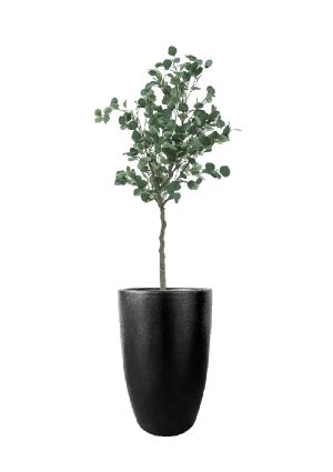 faux eucalyptus tree 160cm in fibre large black planter fl79 euflb