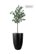 FAUX EUCALYPTUS TREE 160CM IN FIBRE LARGE BLACK PLANTER (FL79 - EUFLB)