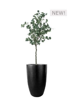 faux eucalyptus tree 160cm in fibre large black planter fl79 euflb