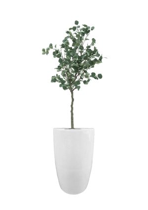 FAUX EUCALYPTUS TREE IN FIBRE LARGE WHITE PLANTER (OVERALL 190CMH) (FL79-EUFLW)