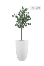 FAUX EUCALYPTUS TREE IN FIBRE LARGE WHITE PLANTER (OVERALL 190CMH) (FL79-EUFLW)