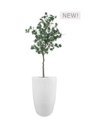 faux eucalyptus tree in fibre large white planter overall 190cmh fl79 euflw