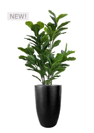 faux green fig 140cm in fibre large black planter fl86 figflb