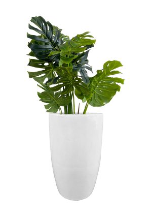 faux monstera tree in fibre large white overall 150cmh fl83 monflw