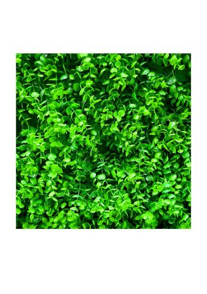 faux evergreen wall ac34 g